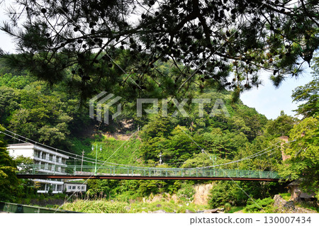 Yamayuri Suspension Bridge_04 Yamayuri Suspension Bridge_04 130007434