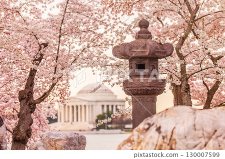 The Jefferson Memorial during the Cherry Blossom Festival in Washington, DC, The Jefferson Memorial during the Cherry Blossom Festival in Washington, DC, 130007599