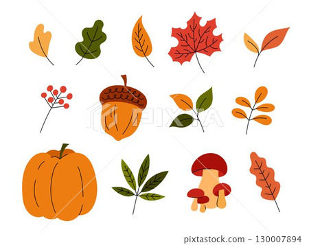 Fall elements vector set. Autumn leaves, fall clipart, flat doodle illustrations. Leaf objects, pumpkin and acorn, mushrooms and berries. Hand drawn botanical collection 130007894