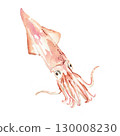 魷魚水彩插圖 130008230
