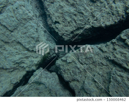 本棲湖的熔岩遺跡 130008462