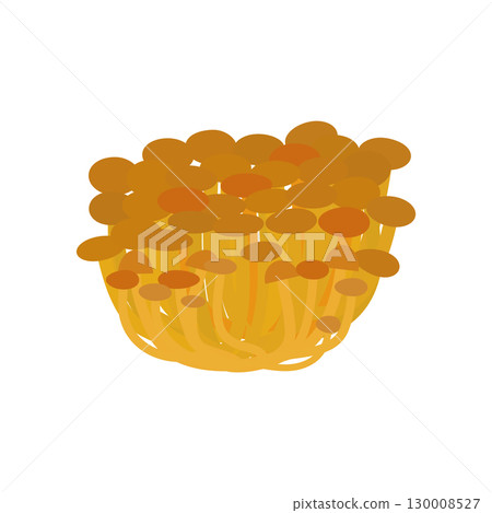 Nameko 蘑菇插圖圖標 130008527