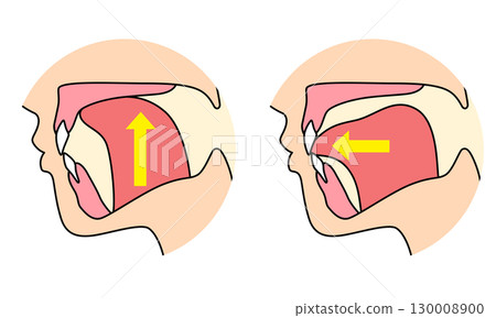 How to mew properly: correct and incorrect tongue position 130008900
