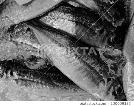 魚市上的海鮮 魚市上的海鮮 130009325