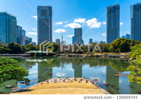 [東京] 被摩天大樓包圍的濱離宮恩賜庭園的潮汐池 130009345