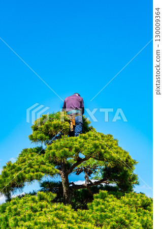 tree care worker 130009364