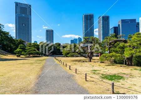 [Tokyo] Hamarikyu Gardens surrounded by skyscrapers 130009376