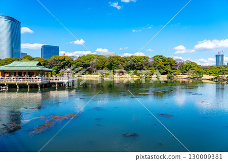 [Tokyo] The tidal pond at Hamarikyu Gardens, surrounded by skyscrapers 130009381