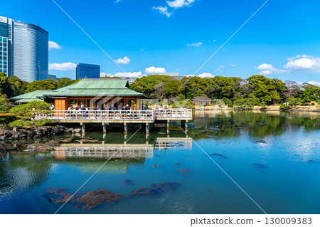 [東京] 被摩天大樓包圍的濱離宮恩賜庭園的潮汐池 130009383