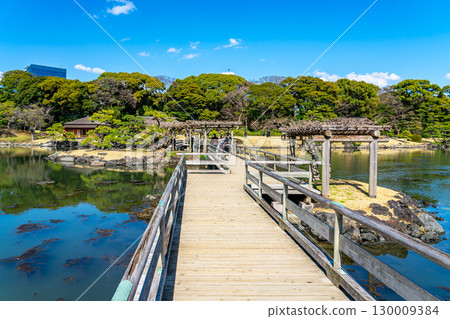 [Tokyo] The tidal pond at Hamarikyu Gardens, surrounded by lush nature 130009384