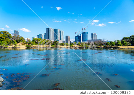 [東京] 被摩天大樓包圍的濱離宮恩賜庭園的潮汐池 130009385