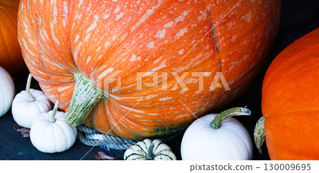A landscape with pumpkins for Halloween in the depths of autumn 130009695