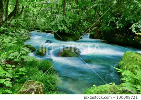 初夏的奧入瀨溪谷石下關急流（青森縣十和田市） 130009721