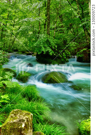 Ishigedonoseki Rapids at Oirase Gorge in early summer (Towada City, Aomori Prefecture) Ishigedonoseki Rapids at Oirase Gorge in early summer (Towada City, Aomori Prefecture) 130009723