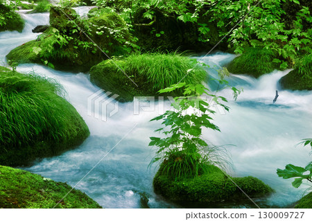 Ishigedonoseki Rapids at Oirase Gorge in early summer (Towada City, Aomori Prefecture) 130009727