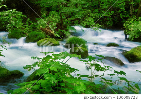 初夏的奧入瀨溪谷石下關急流（青森縣十和田市） 130009728