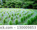 綠意盎然的藜蘆公園 130009853
