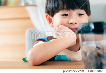 一個男孩正在觀察一隻鍬形蟲 130009865