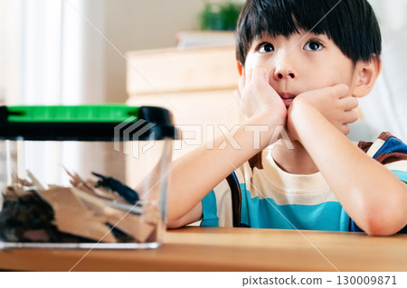 一個男孩正在觀察一隻鍬形蟲 130009871