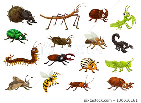 Cartoon funny googly insect characters. Cute bugs vector personages of grasshopper, mantis, cricket, scorpion and stick beetle. Cartoon happy garden insects, hornet, cockroach, stag and rhino beetles Cartoon funny googly insect characters. Cute bugs vector personages of grasshopper, mantis, cricket, scorpion and stick beetle. Cartoon happy garden insects, hornet, cockroach, stag and rhino beetles 130010161