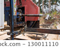 Close-up of machine for sawing pine logs at sawmill 130011110
