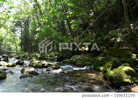 Otome Falls upstream of the Sawana River_07 Otome Falls upstream of the Sawana River_07 130011159