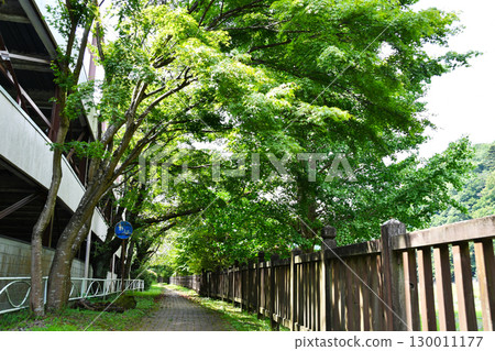 鹽原溪谷步道_04 鹽原溪谷步道_04 130011177