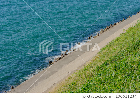 夏日海灘 夏日海灘 130011234