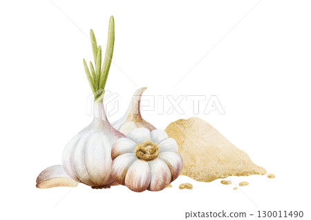 Ground garlic powder with bulbs and cloves watercolor illustration. Pile of dry spice vegetables for cooking and folk medicine recipes. Minced seasoning for culinary. Healthy food hand drawn clip art 130011490