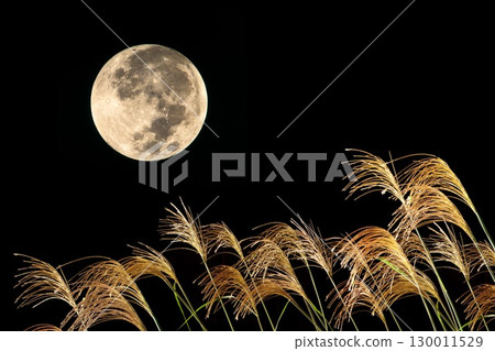 Susuki和中秋月亮 130011529