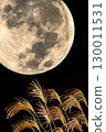 Susuki and the Mid autumn moon 130011531