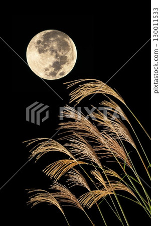 Susuki and the Mid autumn moon 130011533