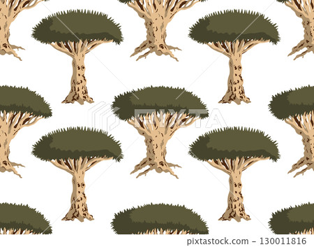Dragon blood tree seamless pattern. Socotra island dracaena cinnabari endemic tree background. Vector illustration Dragon blood tree seamless pattern. Socotra island dracaena cinnabari endemic tree background. Vector illustration 130011816