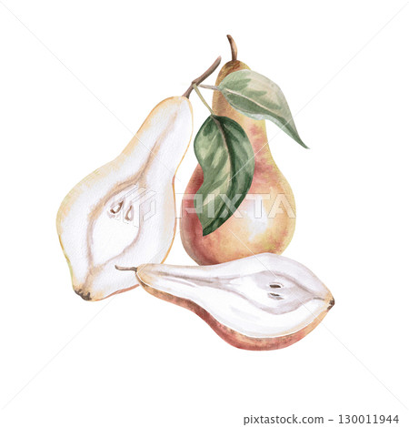 Composition with two halves of pears and a whole one. Isolated watercolor illustration of fruits for product line design, kitchenware design, seasonal menu, postcards, textiles, clothing printing. Composition with two halves of pears and a whole one. Isolated watercolor illustration of fruits for product line design, kitchenware design, seasonal menu, postcards, textiles, clothing printing. 130011944