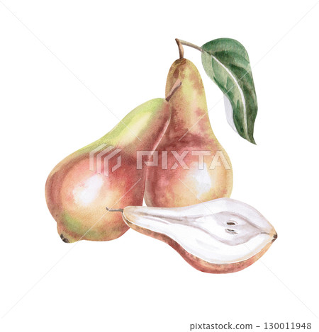 Composition with two whole pears and a half. Isolated watercolor illustration of fruits for product line design, kitchenware design, seasonal menu, postcards, textiles, clothing printing. Composition with two whole pears and a half. Isolated watercolor illustration of fruits for product line design, kitchenware design, seasonal menu, postcards, textiles, clothing printing. 130011948