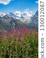 Fireweed and the Alps 130012087