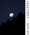 Moon and Forest 130012091