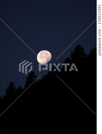 月亮和森林 130012091