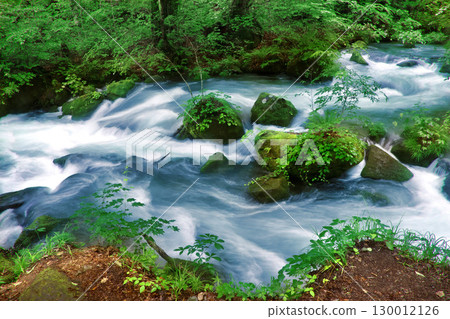Ashura Stream, Oirase Gorge, early summer (Towada City, Aomori Prefecture) 130012126