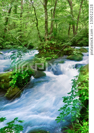 奧入瀨溪流 阿修羅溪 初夏（青森縣十和田市） 130012128