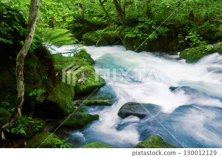 Ashura Stream, Oirase Gorge, early summer (Towada City, Aomori Prefecture) 130012129