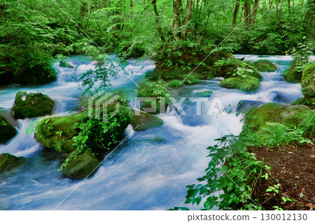 Ashura Stream, Oirase Gorge, early summer (Towada City, Aomori Prefecture) 130012130