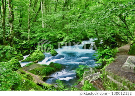 奧入瀨溪流 阿修羅溪 初夏（青森縣十和田市） 130012132