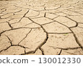 Drought-stricken rice fields cracked 130012330