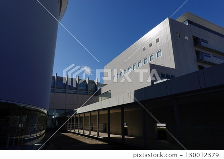 Hino Auto Plaza Hino Auto Plaza 130012379