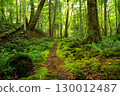 富士樹海散步道 130012487
