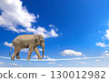 Managing risk concept. Elephant walking on a rope on the blue sky background. Cute elephant on tightrope above the clouds. Elephant balancing on the rope 130012982