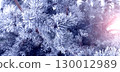 Horizontal Christmas background with pine branch, covered with frost. Holiday wintery banner with frozen branches of fir tree. Festive banner featuring a frosted fir branch. Photo toned in blue color 130012989