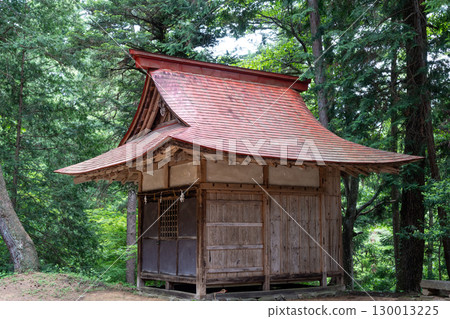 Shinmei Shrine surrounded by forest trees in Takayama, Japan 130013225