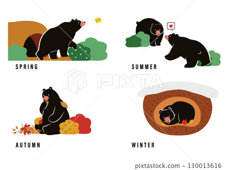 Year of the Bear Year of the Bear 130013616